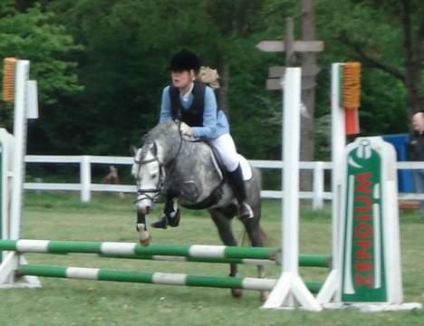 Welsh Mountain (sec A) Meadows Gucci (hingst) - Hop lille ven... Beklager kvaliteten... billede 13