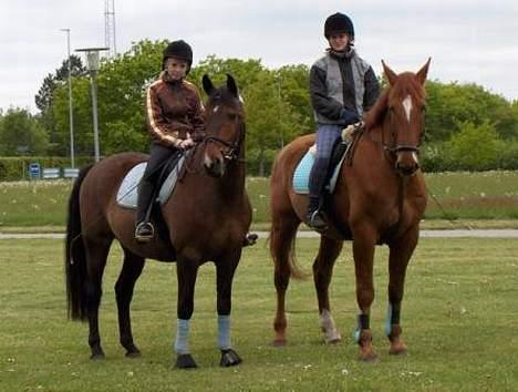 Dansk Varmblod Chateau - Her posérer jeg så sammen med min bedste ven, Mr. Prins :D billede 5