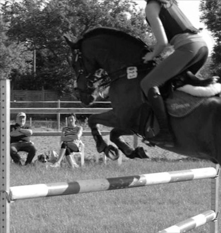 Anden særlig race Timon(solgt) (': - elsker dig basse <3 billede 1