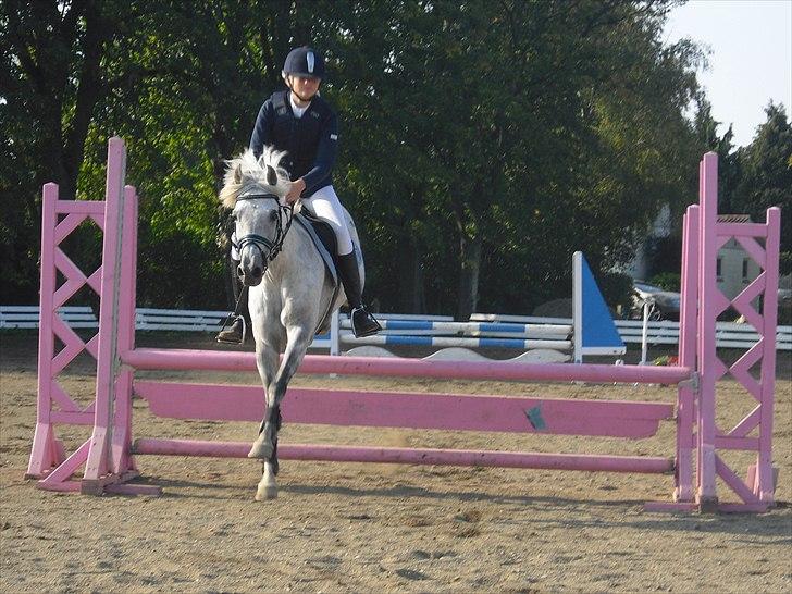 Anden særlig race Dyrkærgård Sping Sky -  You are sweet, you are kind, you are allways on my mind! :I .. ily! <3 billede 10