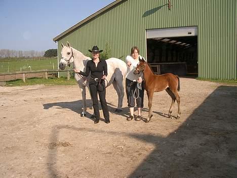 Arabisk fuldblod (OX) Zijaka - Janka, mig, Britt og Luka klar til Showmanship at Halter - Western Stævne billede 17