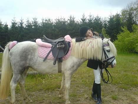 Anden særlig race Daisy - Stævne i Malling 13.05.07 billede 11