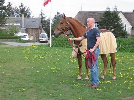 Anden særlig race Reebok´s Basse *Himlens* - Stævne i Guldager April. billede 1