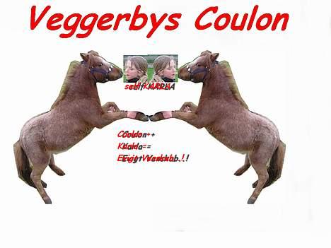 Miniature Veggerbys Coulon - he... mysser billede 13