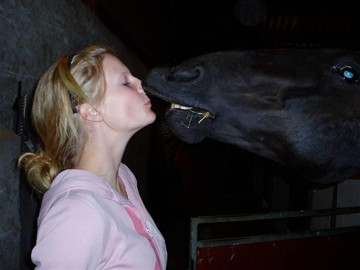 Dansk Varmblod Castello (†08) - .. Han kysser mig på kommando :)  billede 17