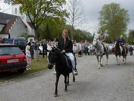 Shetlænder sonny boy - Han var æresgæsten ved min konfirmation.. 13/5-2007!! (: [Foto: Hanne] billede 7