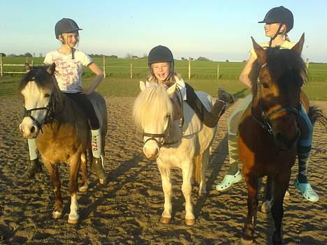 Anden særlig race Daisy - (fra venste) Louise Og Erin Triumph, mig og Daisy, Camilla og snit (: billede 14