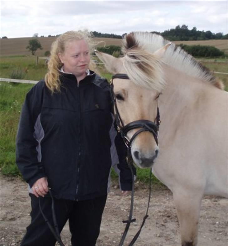 Fjordhest Tøsen - Tøsen. billede 9