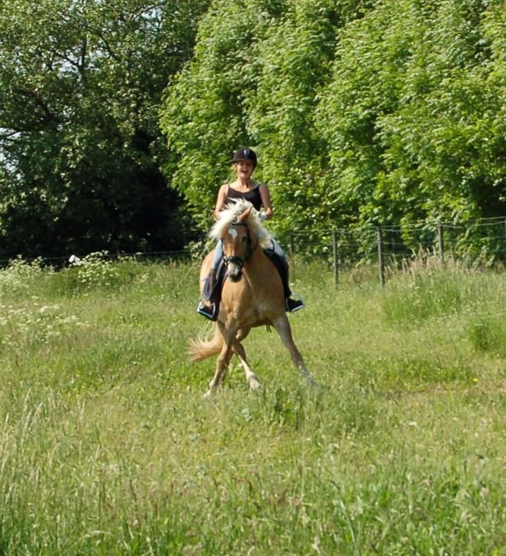 Tyroler Haflinger Kiwi  Elghuset  - Mig og Kiwi .. Scenkelvigning, sommeren år 2007.. billede 1