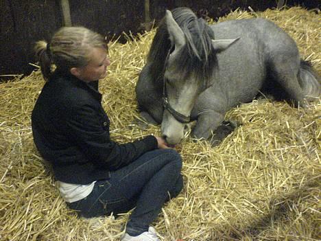 Anden særlig race Prins Fleur(Solgt og har ændret navn) - mig og min dejlig prins sidder lige og hygger lidt inde i hans boks! :) Mmm så hyggeligt. billede 17