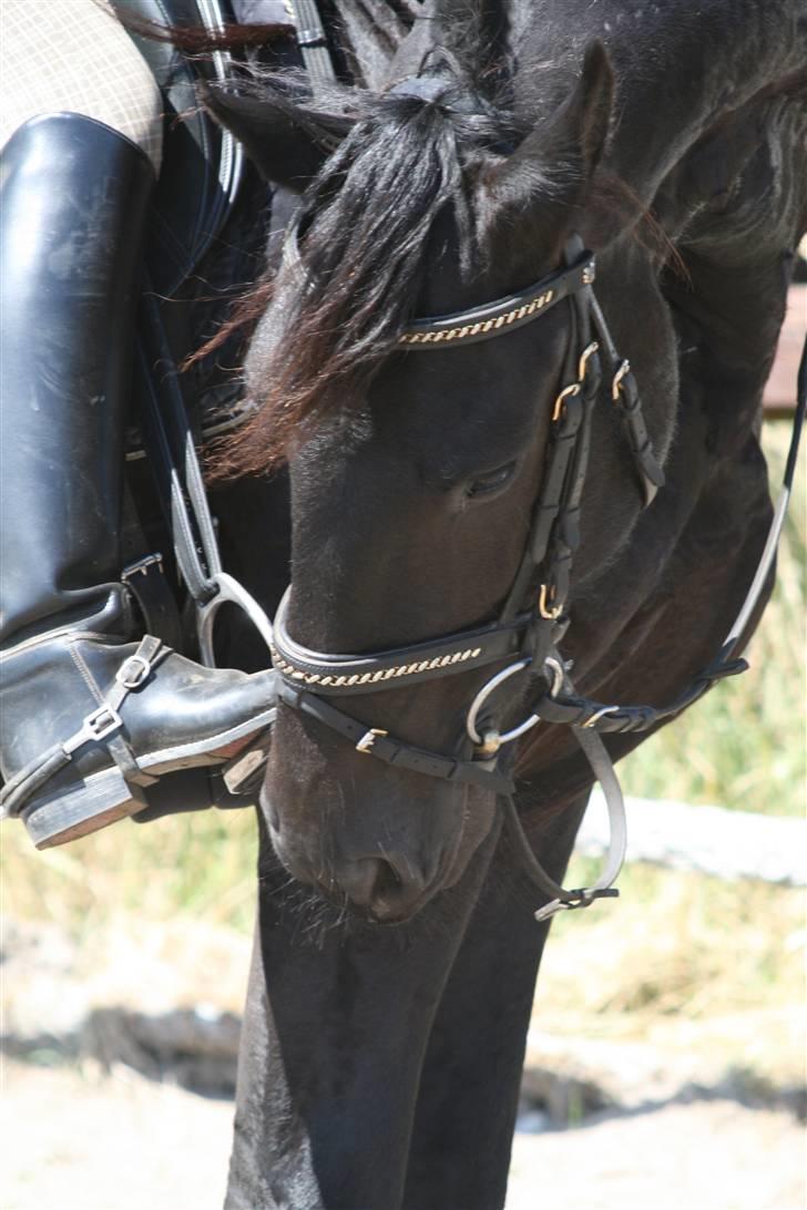 Frieser Douwe Van De Wedze billede 4