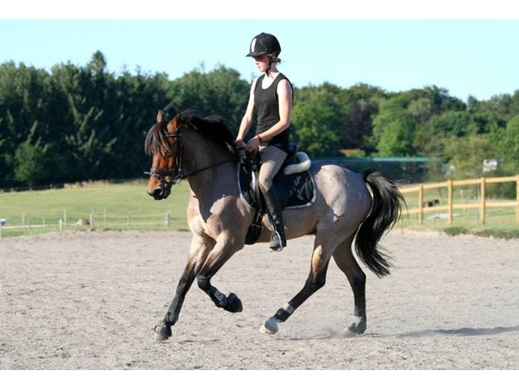 {{currentPhoto.altText}} billede {{currentPhoto.number}}