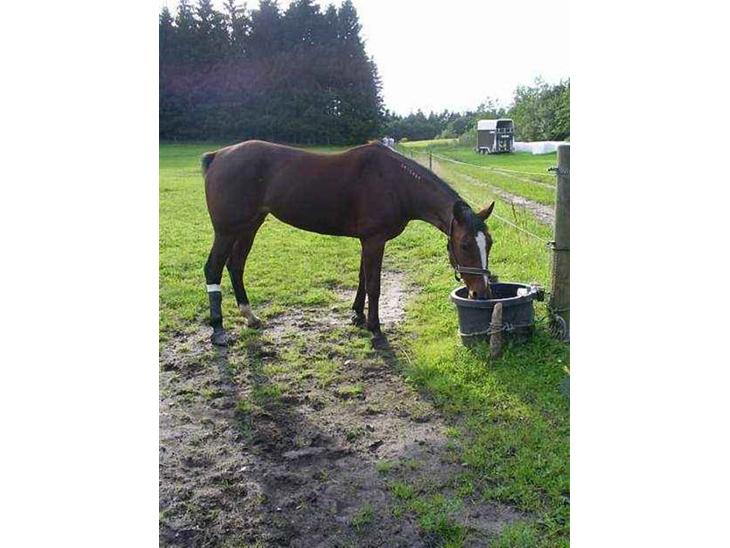 {{currentPhoto.altText}} billede {{currentPhoto.number}}