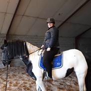 Barockpinto Herkules af Korsmosegaard