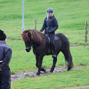 Islænder Siggi fra Vikinghøj