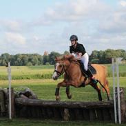 Anden særlig race Strejfer