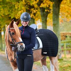Pinto Araber Felix B-pony og 1/3 A-pony