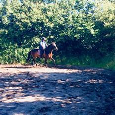 Anden særlig race Sultan