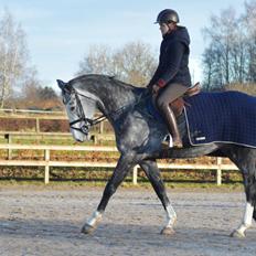 Holstener Casino's sweetheart