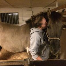 Anden særlig race Frodo 