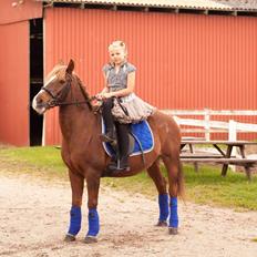 Anden særlig race Tjalfe<3 r.i.p 2021<3