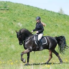 Anden særlig race Rumle