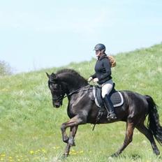 Anden særlig race Rumle