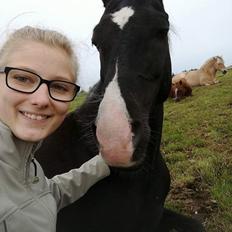 DSP Bæklunds Boy (pony jeg red)