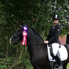 DSP Bæklunds Boy (pony jeg red)