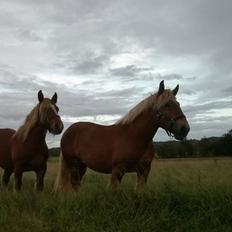 Jyde Valeri Tindbæklund