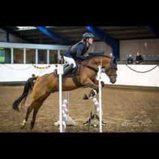 Anden særlig race Pepsi