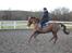 Tysk Sportspony Patricia