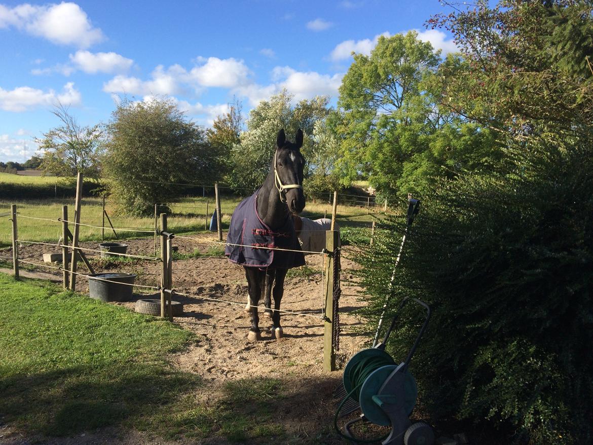 Oldenborg Maggie Tisted - April 2017 billede 27