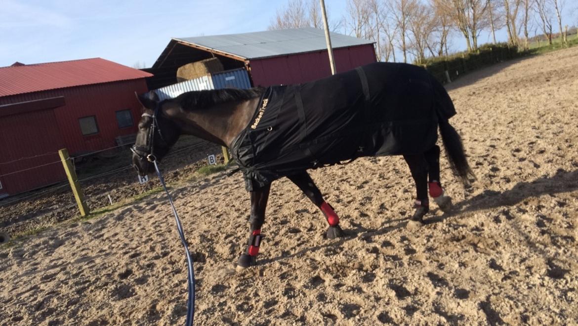 Oldenborg Maggie Tisted - April 2017 billede 22