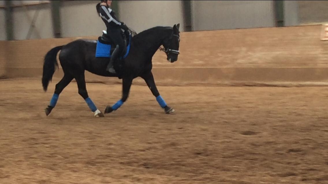 Oldenborg Maggie Tisted - August 2017 billede 17