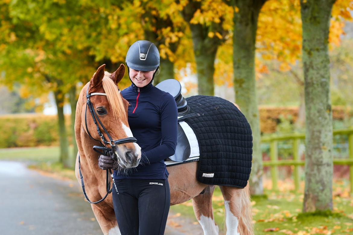 Pinto Araber Felix B-pony og 1/3 A-pony billede 2