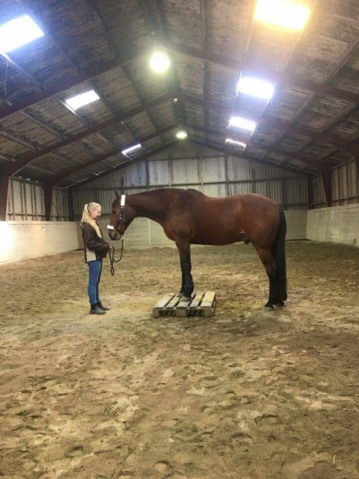 Traver Gunnison (R.I.P)  billede 19