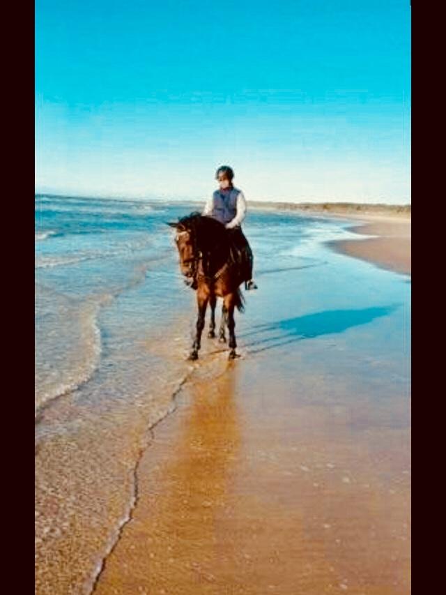 Anden særlig race Sultan billede 10