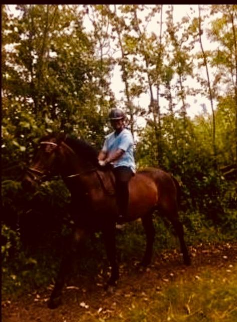 Anden særlig race Sultan billede 11