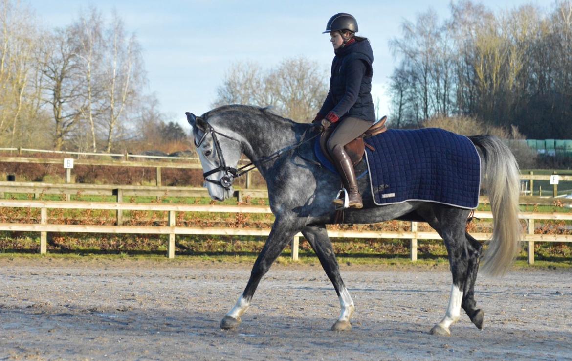 Holstener Casino's sweetheart billede 3