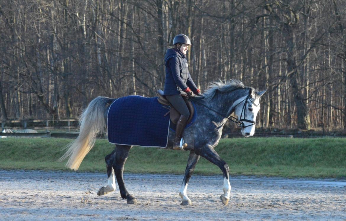 Holstener Casino's sweetheart billede 4