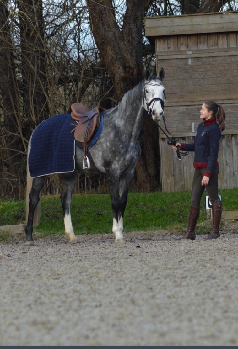 Holstener Casino's sweetheart billede 9