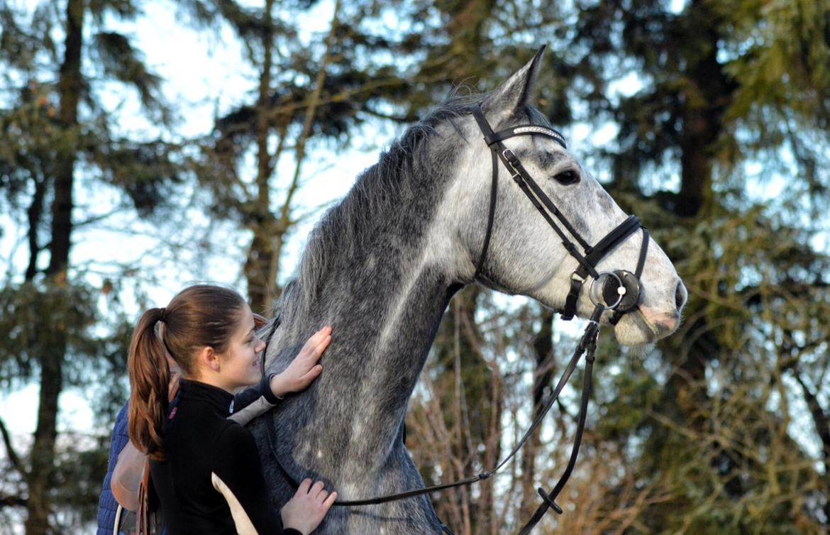 Holstener Casino's sweetheart billede 13