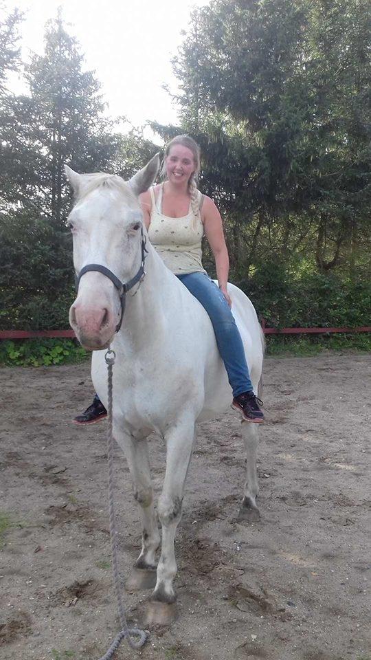 Knabstrupper Tjalfe af dutterup billede 5