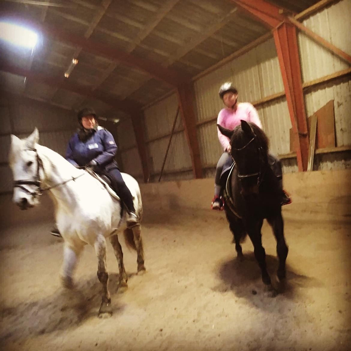 Oldenborg Akeem <3 billede 2