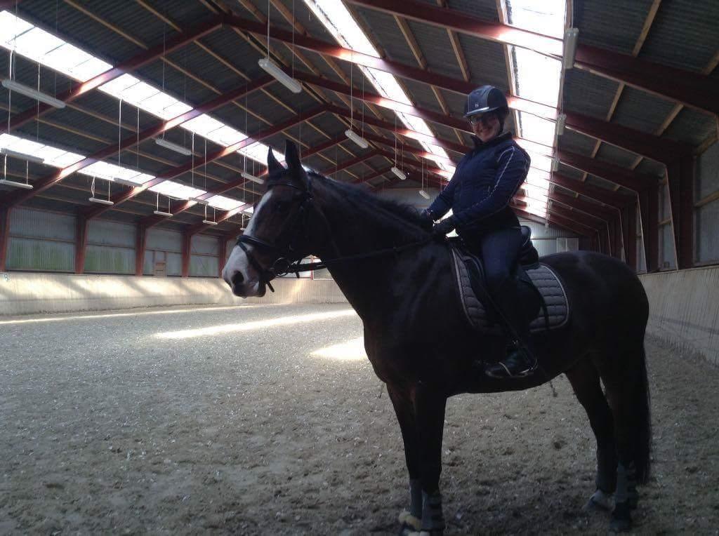 DSP Elmegaardens don-juan billede 3