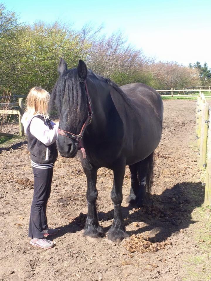 Frieser Victoria D { R.I.P 06-07-16} SAVNET MEGET <3 billede 2