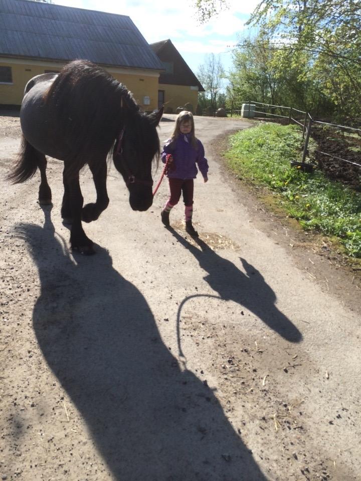 Frieser Victoria D { R.I.P 06-07-16} SAVNET MEGET <3 billede 8