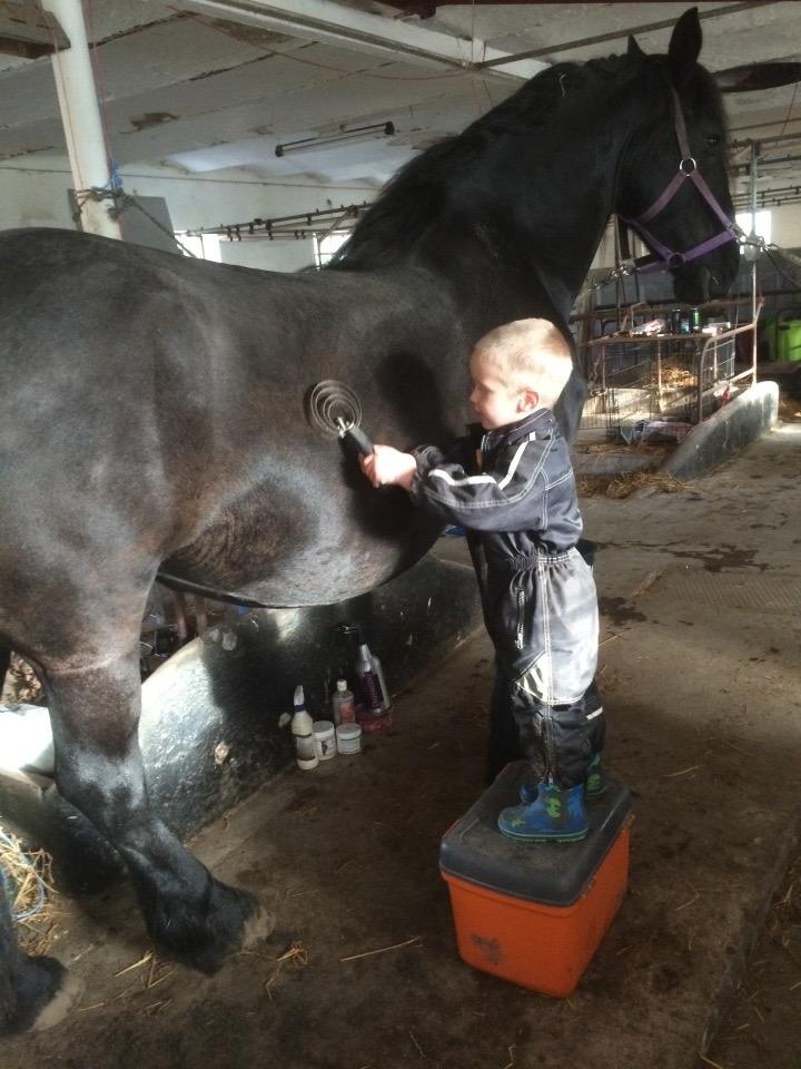 Frieser Victoria D { R.I.P 06-07-16} SAVNET MEGET <3 billede 9