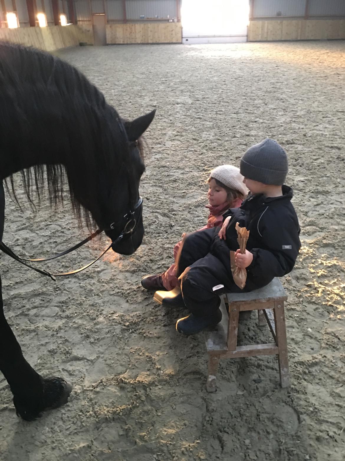 Frieser Yfke V billede 2